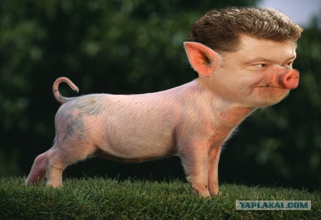 Господа Яповчане-Фотошопперы для вас - Порошенко