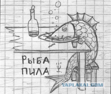 Картинки, которые перевернут мир с ног на голову