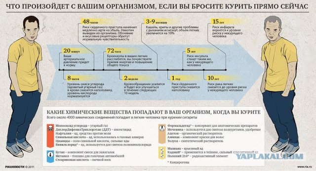 Что произойдет с вашим организмом,