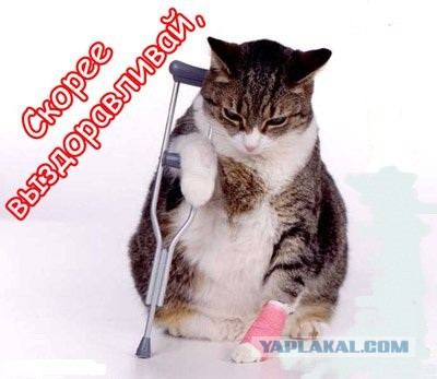 Немного интима