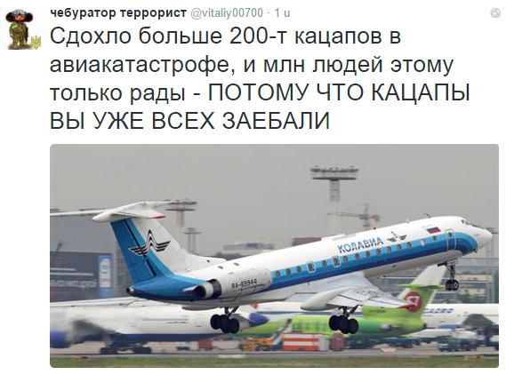 В Египте разбился российский пассажирский самолет, Airbus-321 "Когалымавиа"