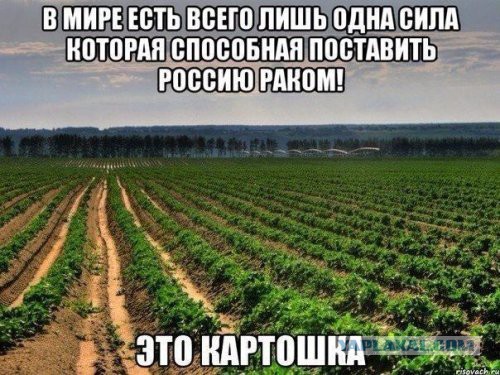Картинки