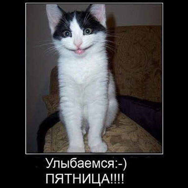 Картинки на пятницу