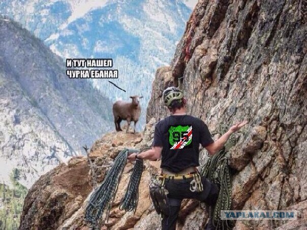 Разные картинки из сети