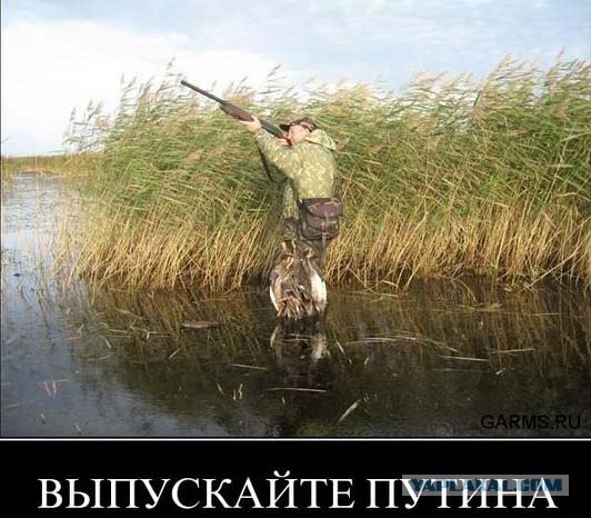 Путин с клювом в халате возглавил журавлиный клин