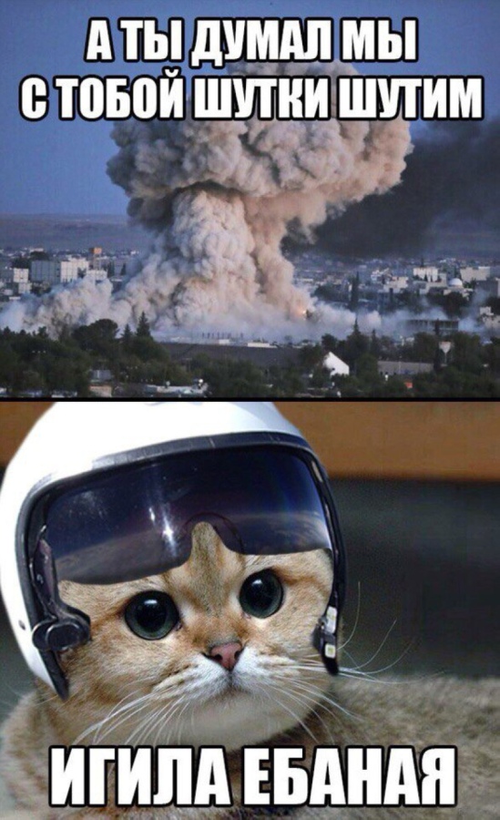 Ну вот ИГИЛ и доигралась