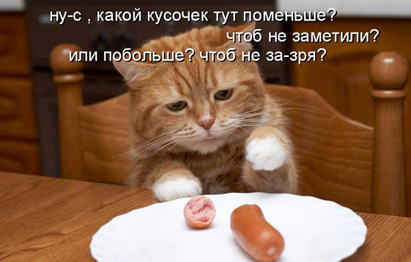 Веселые картинки