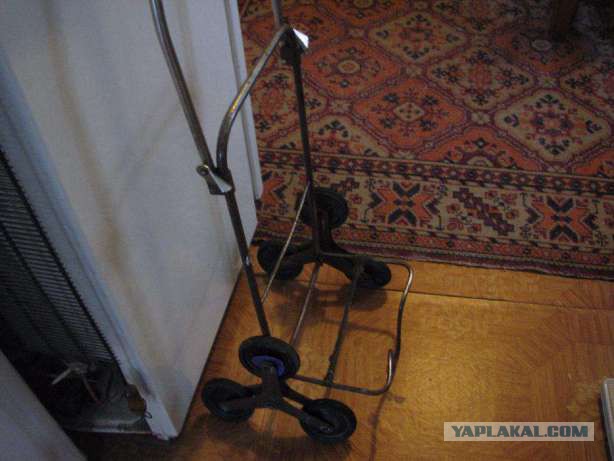 100 кг на спине. Каждый день. 25 лет подряд