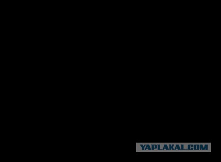 Тридцать пьяных негров устроили мордобой и оргию в бане на Петровском проспекте