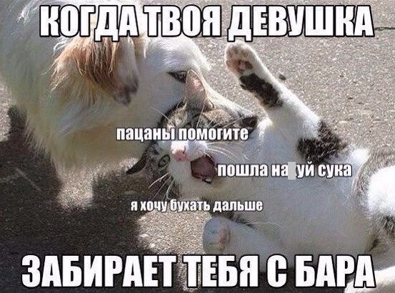 Картинки из ваших этих итернетов...