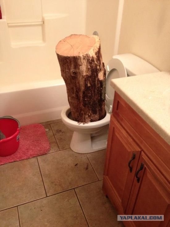 Приговор узбеку-убийце.