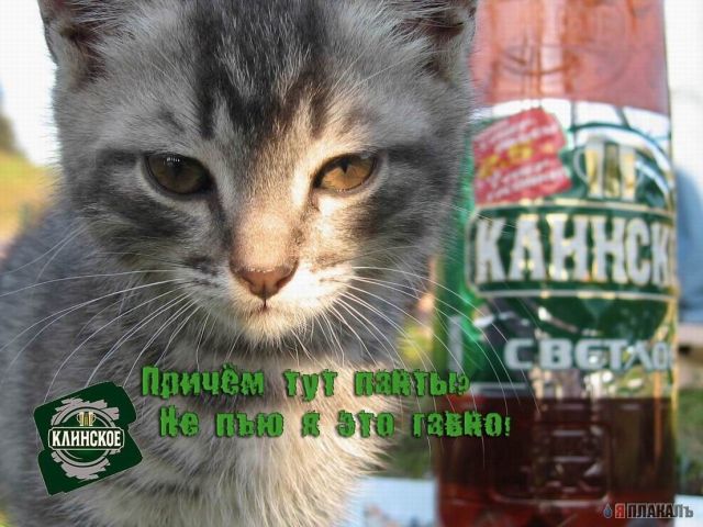 АЛКОГОЛЬ