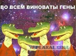 Девочка попросила лишить отца родительских прав