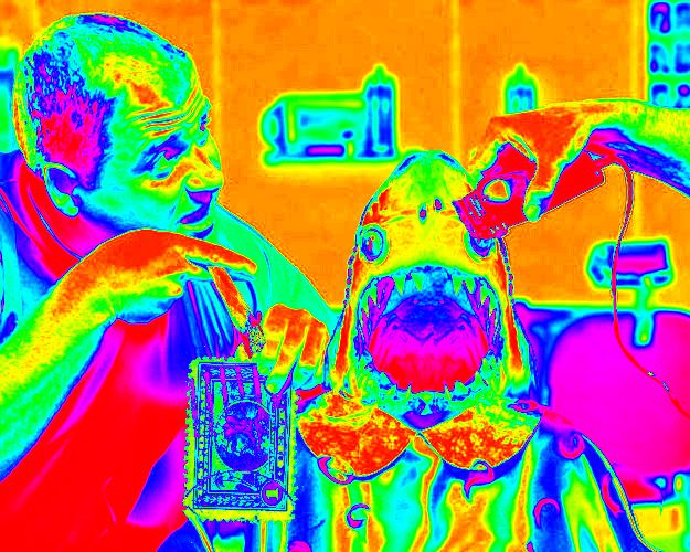 Фотожаба: в парикмахерской