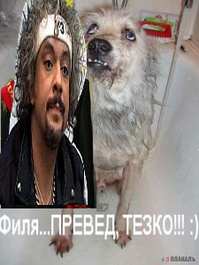 Как заставить мужа выгулять собаку