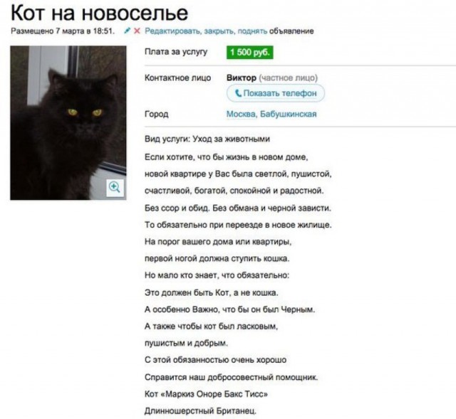 Смешные комментарии из социальных сетей 26.08.2016