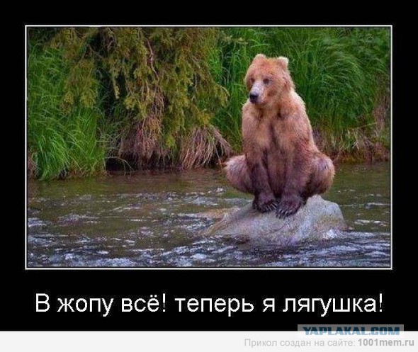 Замороженные пенсионные накопления россиян отдадут Минобороны