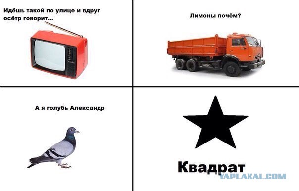 Порция абсурдного юмора на следующую неделю