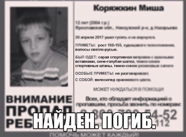 Волонтеры считают, что пропавшего в Ярославской области мальчика можно было спасти.