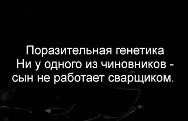 Забавные комментарии, шутки и фразы из этих ваших интернетов