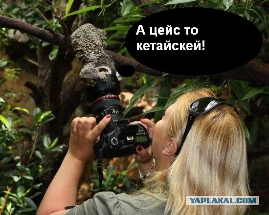 Так где обещаная птичка?