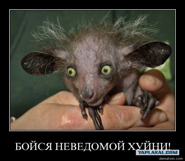 Подборка интересных и веселых картинок