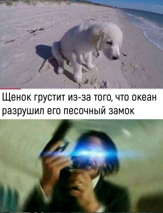 Нестандартный юмор