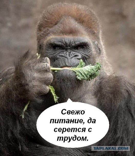 Выиграть в лотерею «Гослото» с первого билета: отзывы реальных победителей