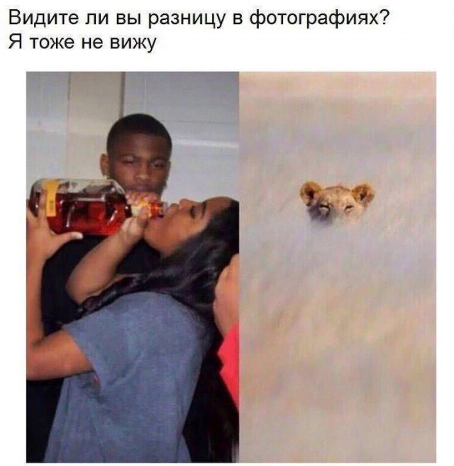 Картинки и мемы для настроения