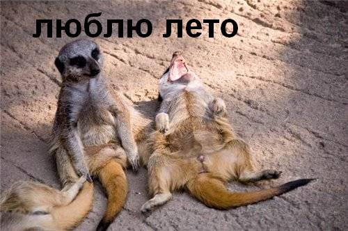 Фотожаба: Скоро лето 2008 !