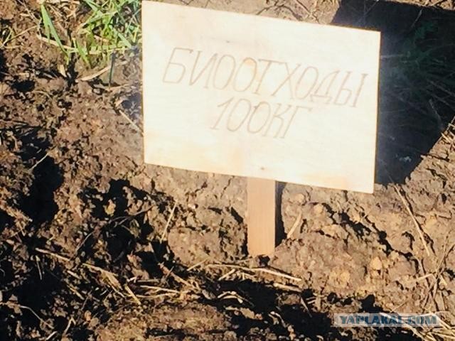 Город Орел. Малолетки атакуют сворой. На этот раз мужчину, который вечером гуляет со своей женой.