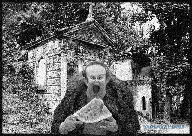 Фотожаба: Принцесса ФИОНА