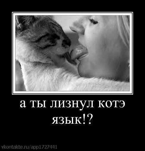 Баянисто-небаянистый юмор. 5.11.20.