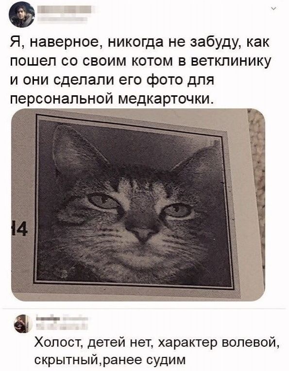 Кретинизмы из сети 03.02.21 Night Edition