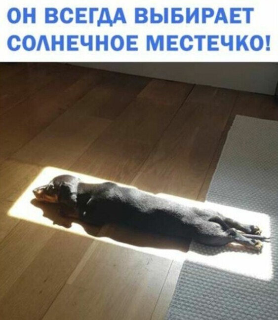 Картинки и мемы для настроения 017