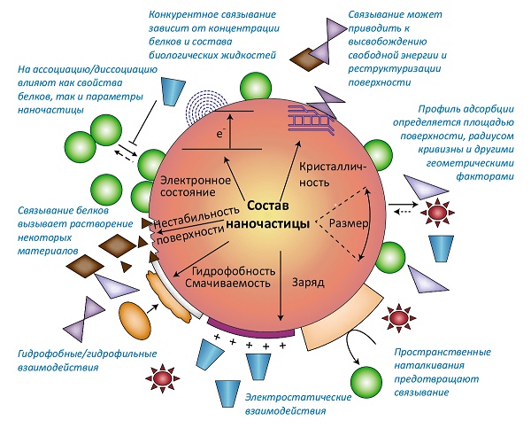 Пандемия. Коронавирус. Россия и мир. Последняя информация. Часть 24