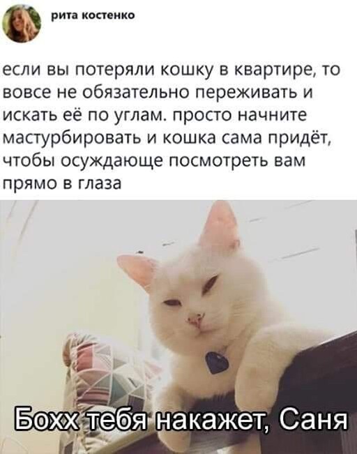 Баянисто-небаянистый юмор 23.08.21