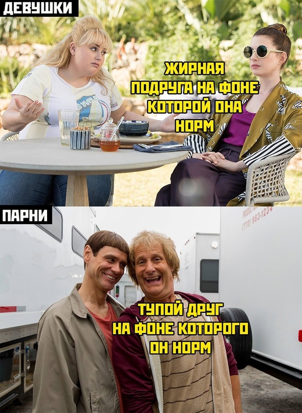 Весёлый полтишок 10.10