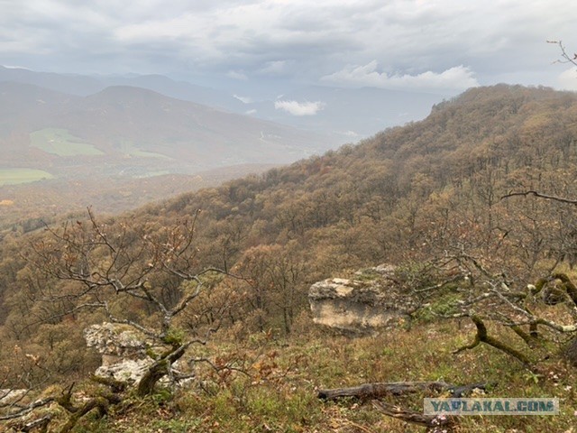 Лучшая реклама вакцины