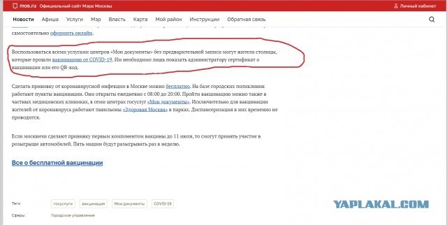 Про эти ваши куриные коды
