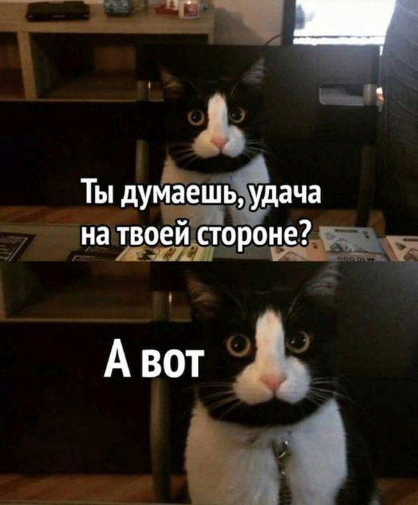 А давайте не про Казахстан, ага?