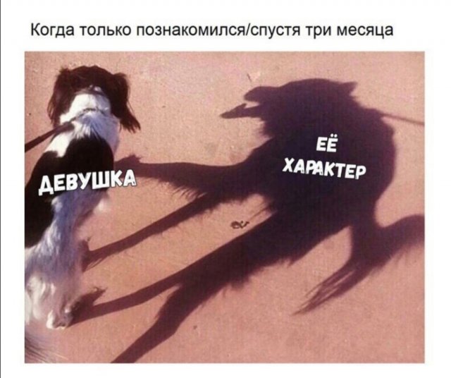 Картинки и мемы для настроения  - 27