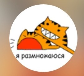 Когда день не задался...