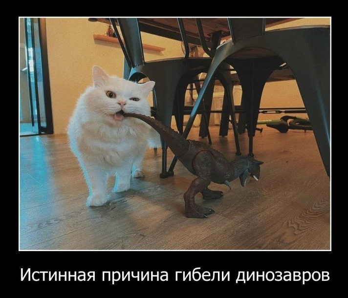 16706563.jpg