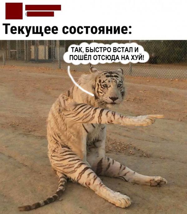 Так себе картинки 28.05.22