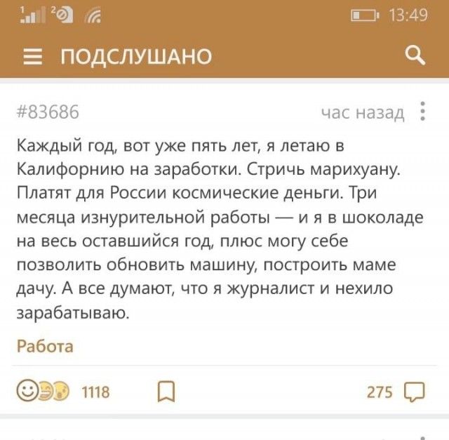 Картинки из рабочего чата 25.06