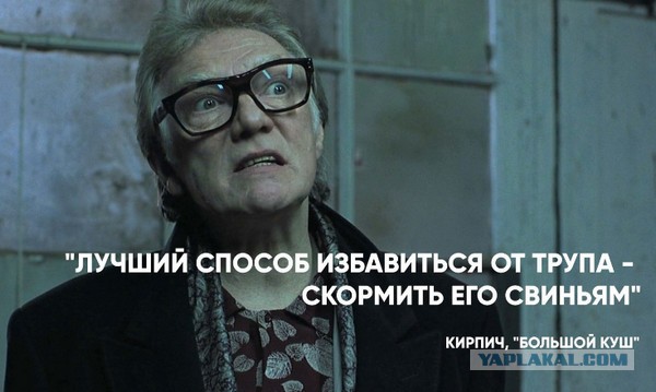 Свинья загрызла насмерть мужчину под Иркутском