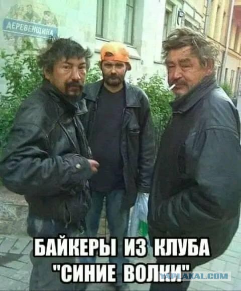 Весёлый полтишок 08.09.22