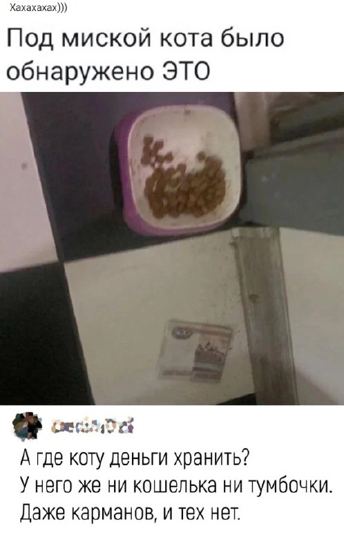 Картинки и мемы, всем хороших выходных