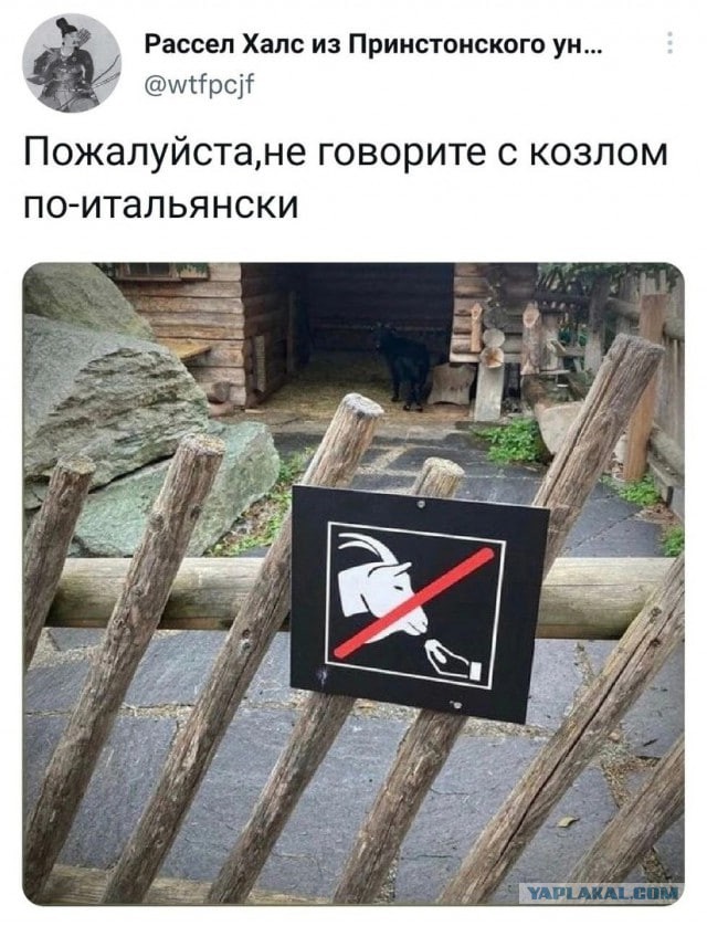 У итальянцев это в крови